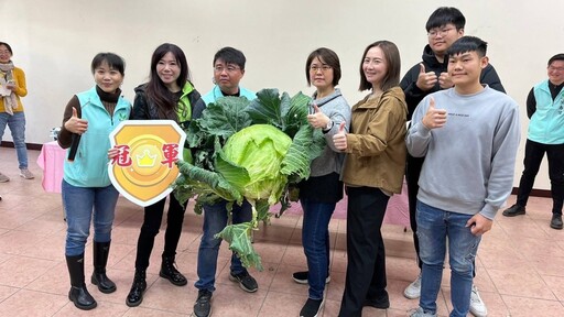 首屆巨大高麗菜比賽落幕 布袋鎮青年農民奪冠