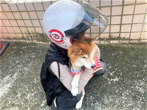 愛犬走失一夜 公園警協助團圓