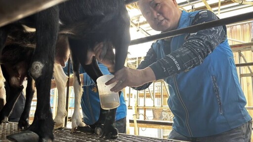 推廣和美在地特色產業 和美鎮長林庚壬率主管參訪佳益牧場