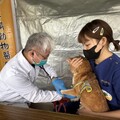 彰化秀傳寵物市集 免費健檢、疫苗施打一次滿足