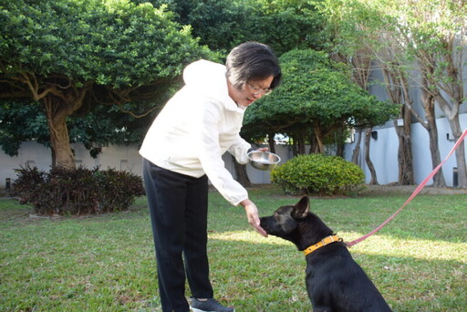 彰化縣遊蕩犬貓TNVR開跑 預計完成2300隻絕育降低人犬衝突