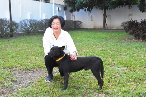 彰化縣遊蕩犬貓TNVR開跑 預計完成2300隻絕育降低人犬衝突