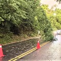 路樹倒塌阻交通 長竹警即刻排除
