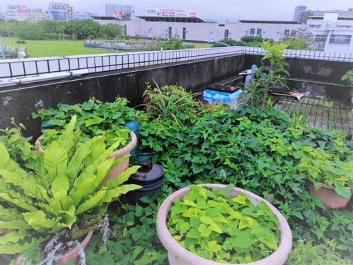 台北市民看過來！安全無味綠肥免費送，土壤改良劑1/8開放申請！