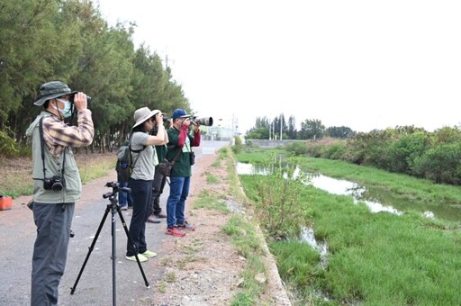 台灣最大水鳥天堂 嘉義布袋濕地預約賞鳥解說開始報名！
