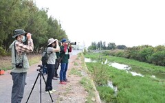 台灣最大水鳥天堂 嘉義布袋濕地預約賞鳥解說開始報名！