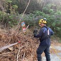 自管處進行跨機關清明防火演練 提高對於森林火災的應變效率