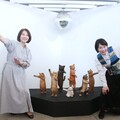 屏東看海美術館 迎來日本最萌貓狗展