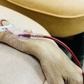 全新紅血球成熟劑納健保給付 海貧患者不再擔心血荒