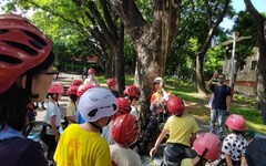 雨豆樹林間 體驗攀樹及走繩 高雄新客家文化園區充滿大小朋友笑聲