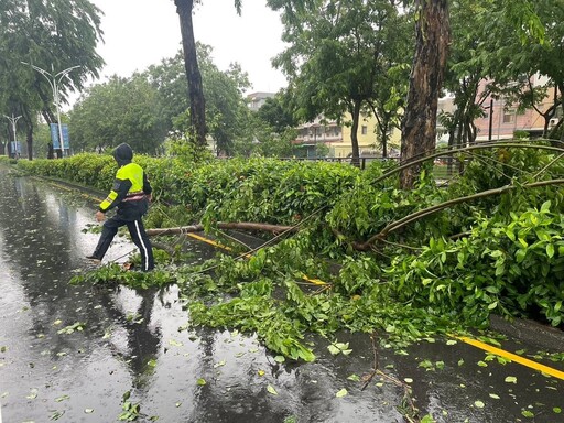 強風吹倒路樹阻通行 北興警迅速處置排除