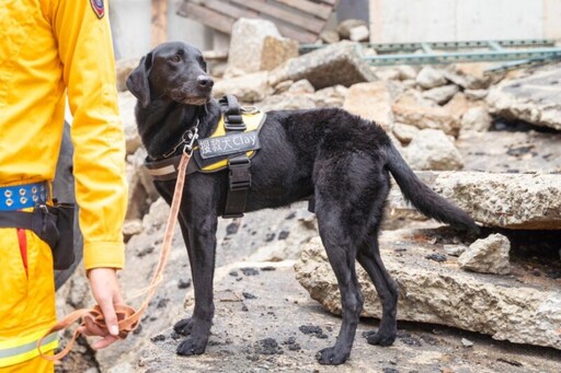 水圳中尋獲老婦 竹市搜救犬Clay再建功