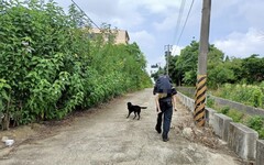 水圳中尋獲老婦 竹市搜救犬Clay再建功