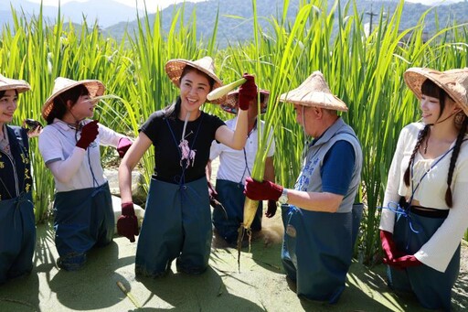 綠色食材從產地到餐桌 埔里農會辦茭點女神活動