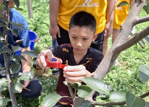 抓住暑假的尾巴 桃竹苗分署開箱 新埔體驗遊程適合親子共遊