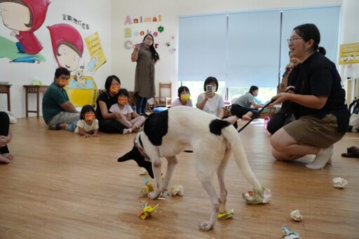 讓每個人都可以幫助浪浪 高市動保處舉辦貓狗職人體驗