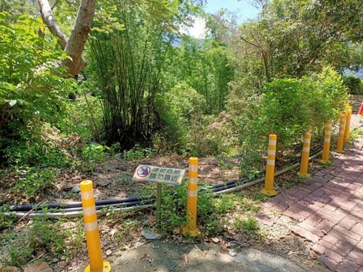 茂林野溪整治落實生態檢核 高市水利局保護紫斑蝶並兼顧部落通行安全