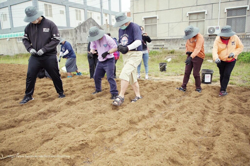 永續菜宅！女力下田趣 體驗柔力農園生活智慧