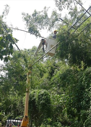 台電高雄、鳳山區處合作共建強韌電網 停電事件今年比去年同期減少近100件！