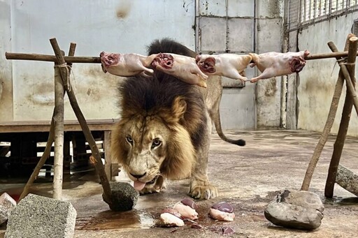 高雄壽山動物園創意餐點 動物快樂過中秋