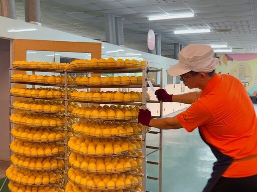 秋冬季節限定美味 番路鄉農會柿餅加工坊正式開工