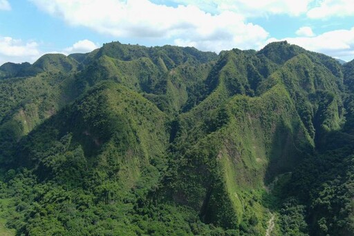 921大地震後 九九峰自然保留區稀有植物天堂