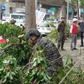 國軍協助高雄市工務局全力動員恢復市容