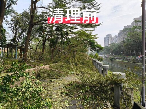 河堤公園樹一地倒 國軍協助水利局全力搶通