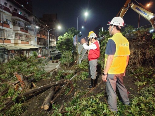 林副市長夜間視察次要道路樹木傾倒排除進度