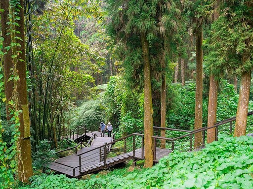 加入慢遊嘉義Line 抽獎享受舒壓山林旅遊