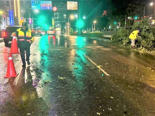 路樹倒塌影響交通 後湖警不畏風雨積極處置