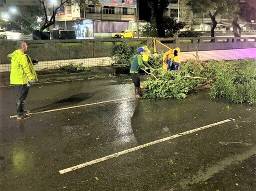 路樹倒塌影響交通 後湖警不畏風雨積極處置