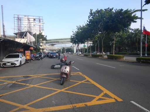 竟有如此鳥車禍? 鴿子優雅漫步引發三車追撞