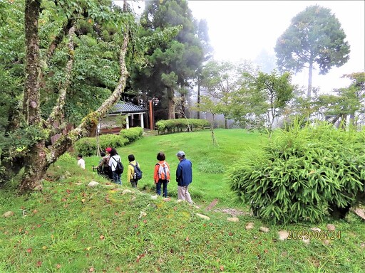 阿里山植物園 別出心裁的森林療癒場地