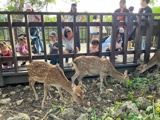 感謝救災英雄 憑證壽山動物園年底前免費入園