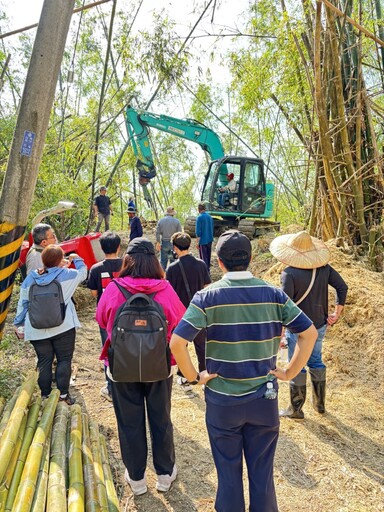 改善林地老化 高雄市推動竹林伐採示範與利用