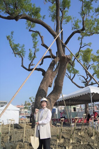 屏東和生市地重劃區老樹移植重生