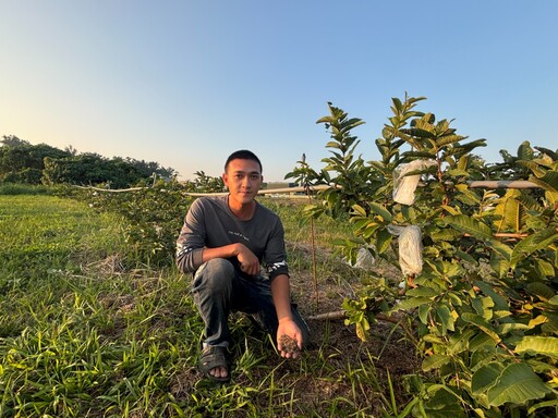 大樹青農陳家瑋友善農法 創立自有品牌「綠創頂級芭樂」 打造大樹新綠企