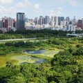 高雄洲仔濕地公園民眾座談 「友善使用」打造環境治理新典範