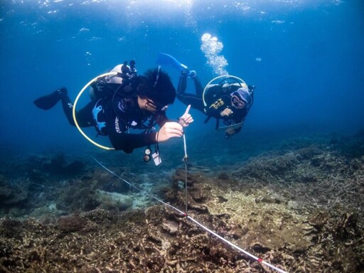 攜手在地力量 海保署守護海洋生態成果豐碩