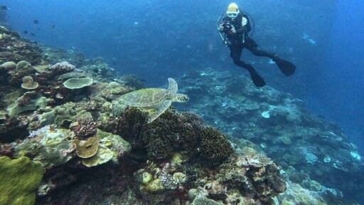 攜手在地力量 海保署守護海洋生態成果豐碩