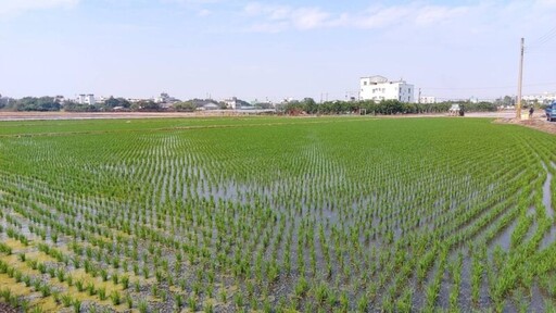 三大水庫水情穩定 一期稻作將正常供灌