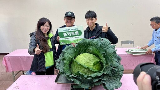 農業技術競賽 布袋邱書軒勇奪巨大高麗菜冠軍