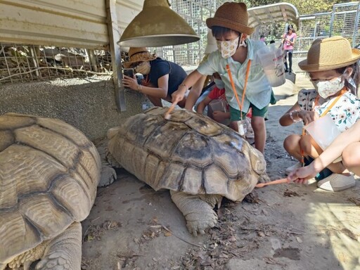 高雄壽山動物園1/25-2/2全國12歲以下兒童免費入園 精彩活動喜迎蛇年