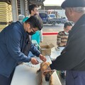 偏鄉巡迴犬貓絕育活動 首場大樹區姑山倉庫 鄉親攜毛孩踴躍參加