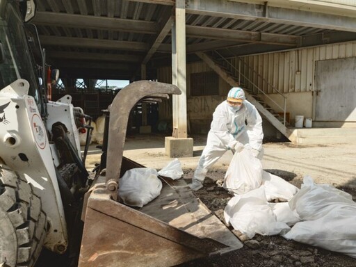 臺南蛋雞場確診禽流感 動保處呼籲業者落實生物安全做好禽舍保溫