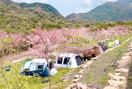 高雄觀光魅力吸引全台旅客 賞新年燈會順遊美景、嘗美食