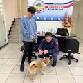 小柴犬家人春節爬山走失 暖警成毛孩保母