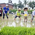 六堆園區蒔田體驗趣 傳承客家文化