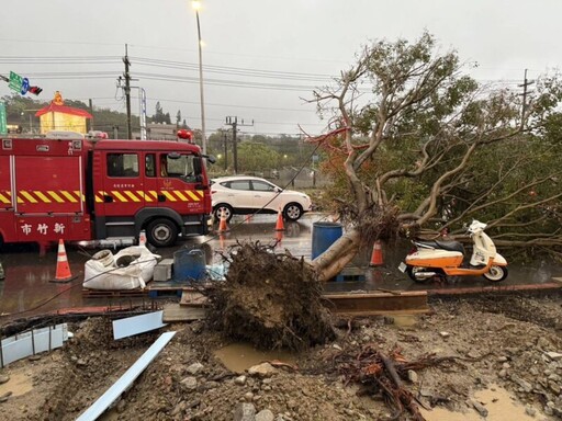 強降雨導致香山中華路路樹倒塌 竹市府跨局處迅速應變恢復交通